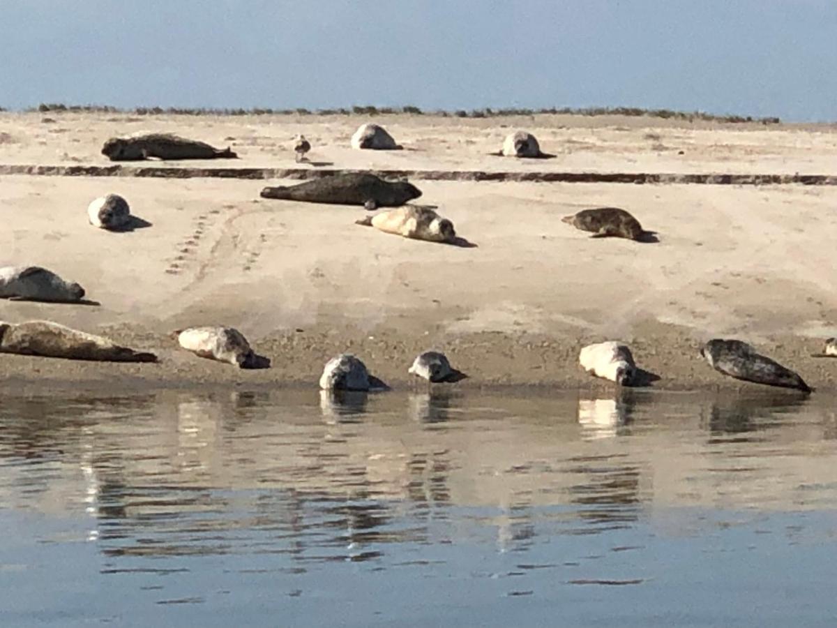Trekvogels Hoern Дорнум Экстерьер фото